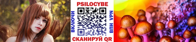 маркетплейс Telegram  Курск  Псилоцибиновые грибы Psilocybe  купить наркотик 